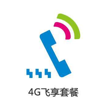 【中国移动】4G飞享套餐238元