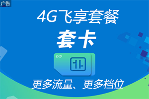 4G飞享套餐
