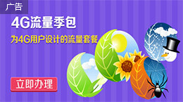 流量季包