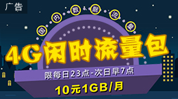 4G闲时流量包