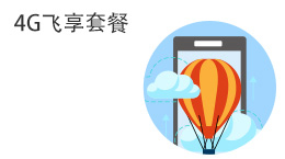 4G飞享套餐