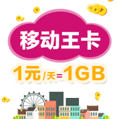 【中国移动】移动王卡