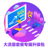 【中国移动】31元大流量专属升级包