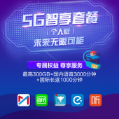【中国移动】5G智享套卡（个人版）
