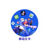 【中国移动】移动王卡商品