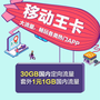 【中国移动】移动王卡-19元套餐（流量版）商品